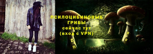 круглые Алексеевка