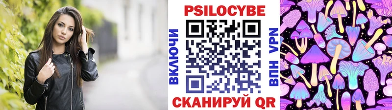 наркотики  Канаш  Псилоцибиновые грибы Psilocybine cubensis 