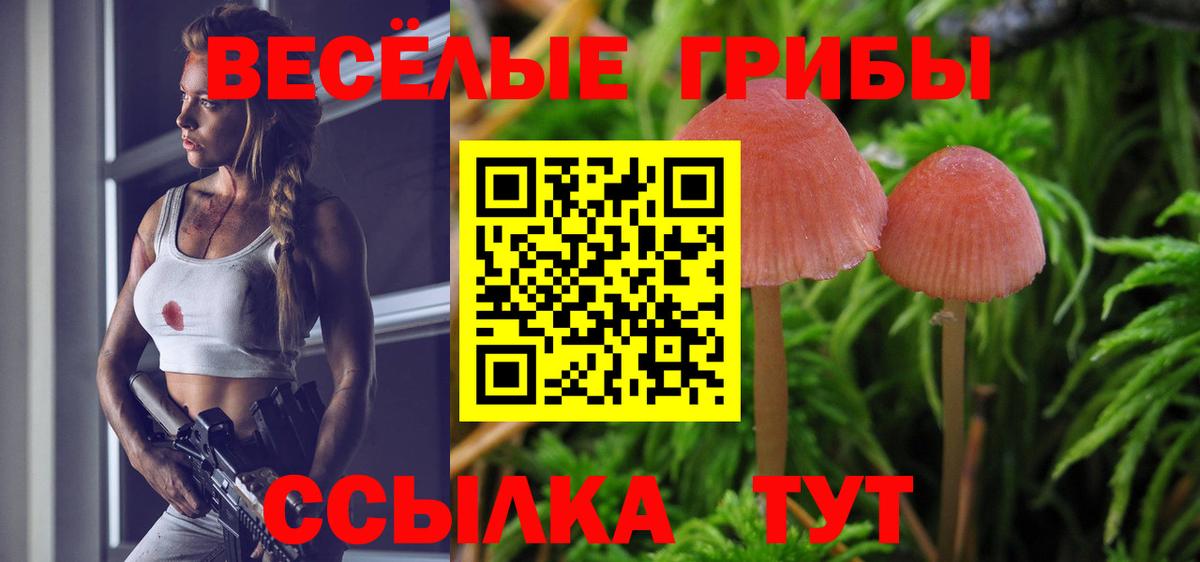 Галлюциногенные грибы GOLDEN TEACHER  Вход с VPN  закладка  Псилоцибиновые грибы Cubensis  Канаш 