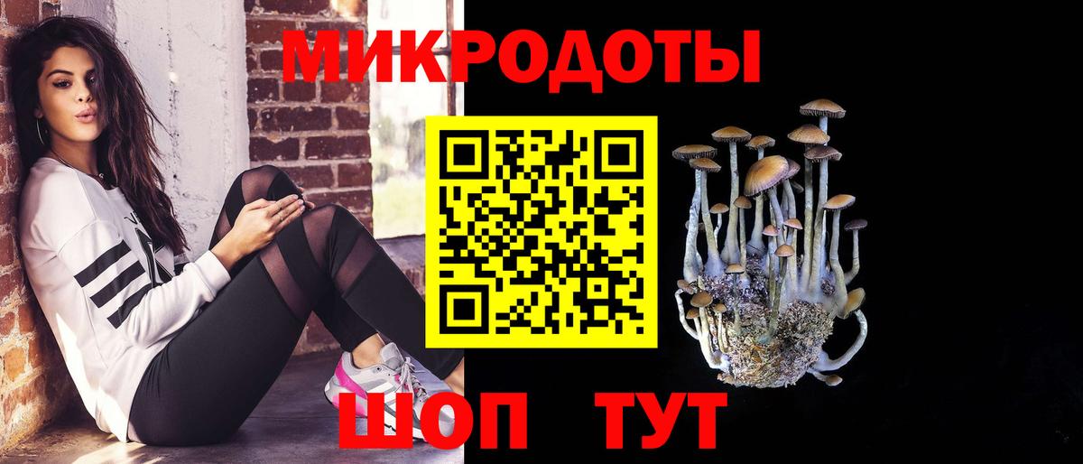 Псилоцибиновые грибы GOLDEN TEACHER Канаш