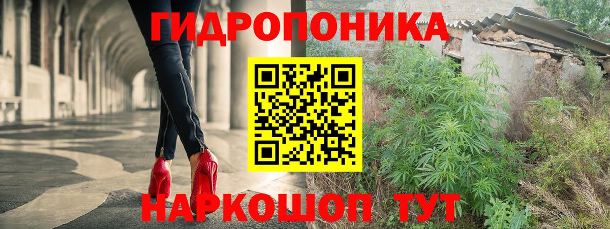 Бошки марихуана Ganja Канаш